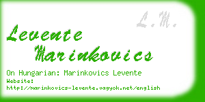 levente marinkovics business card